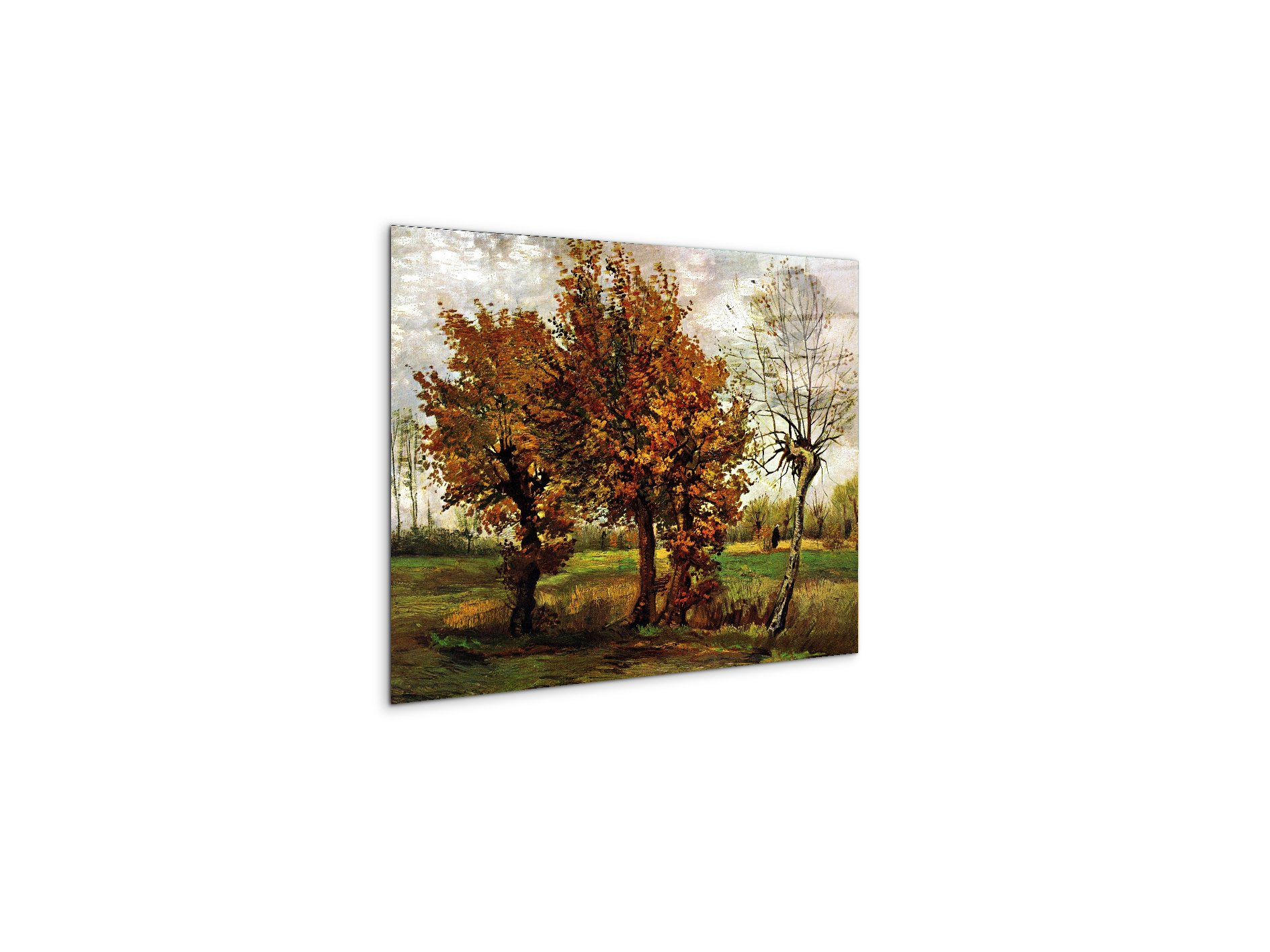 autumn-landscape-with-four-treesas90571-#materiale_CrystalArt/dimensioni_50x37,50