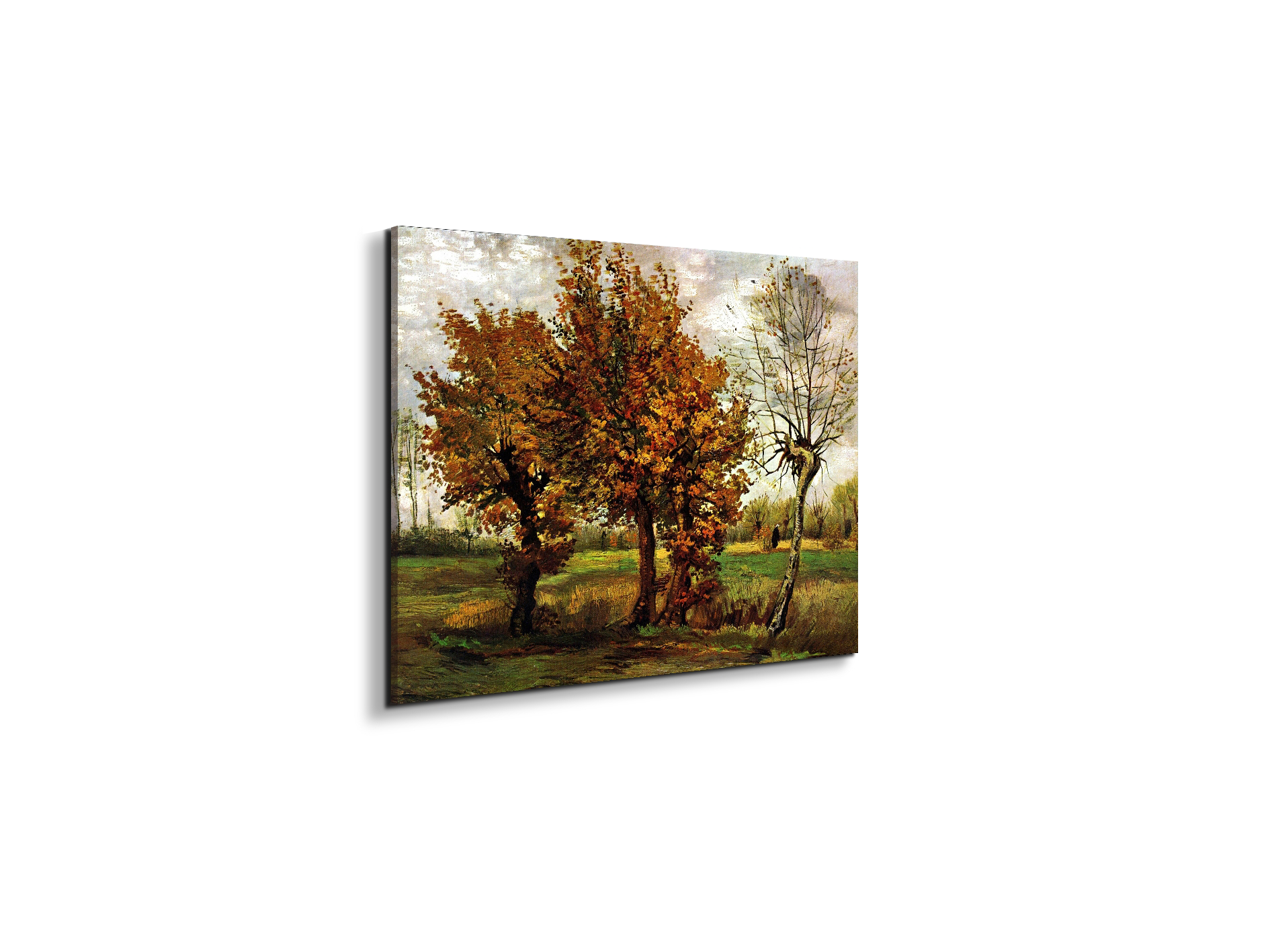 autumn-landscape-with-four-treesas90571-#materiale_EarthArt Materic/dimensioni_50x37,50