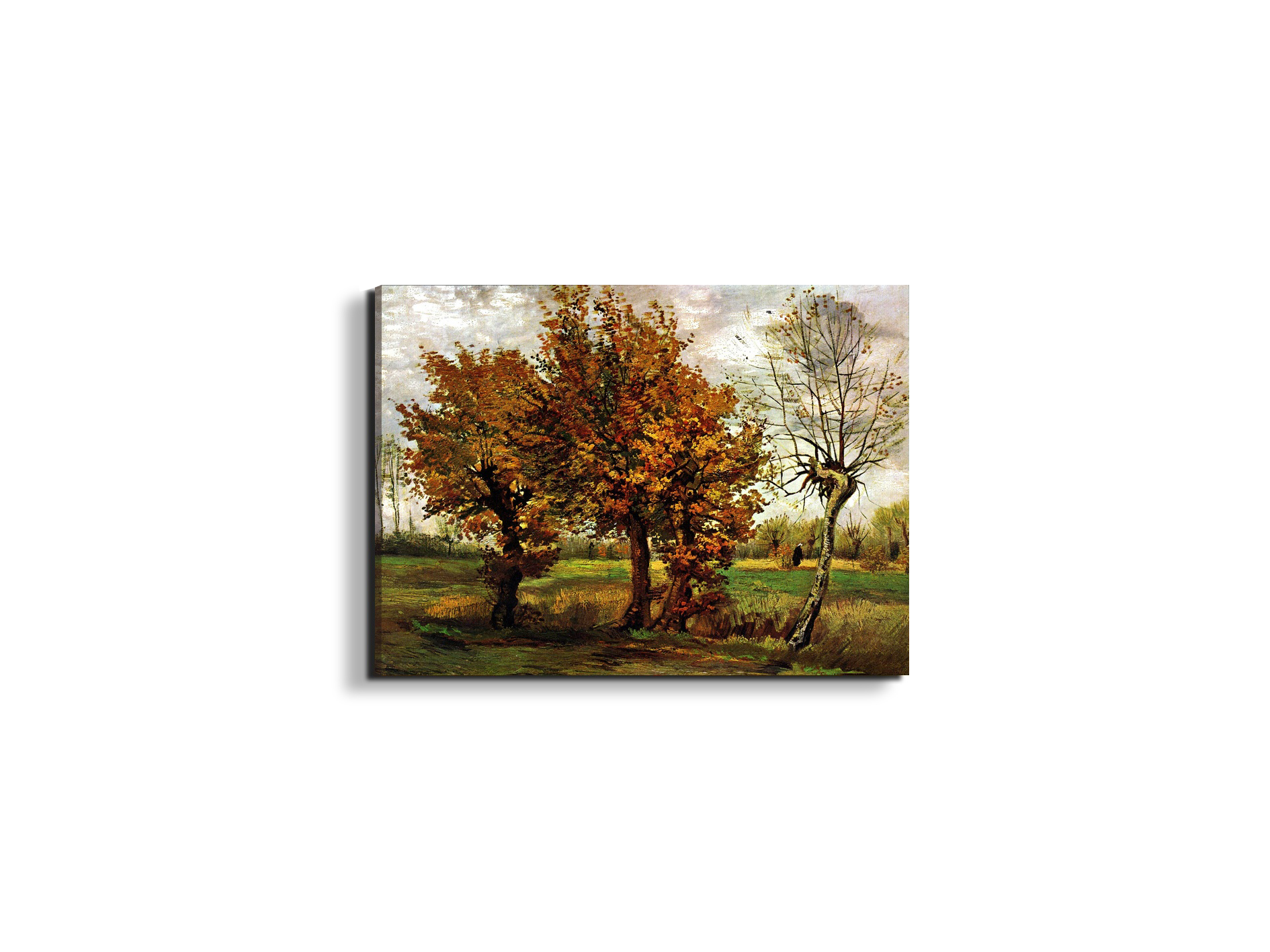 autumn-landscape-with-four-treesas90571-#materiale_EarthArt Materic/dimensioni_50x37,50