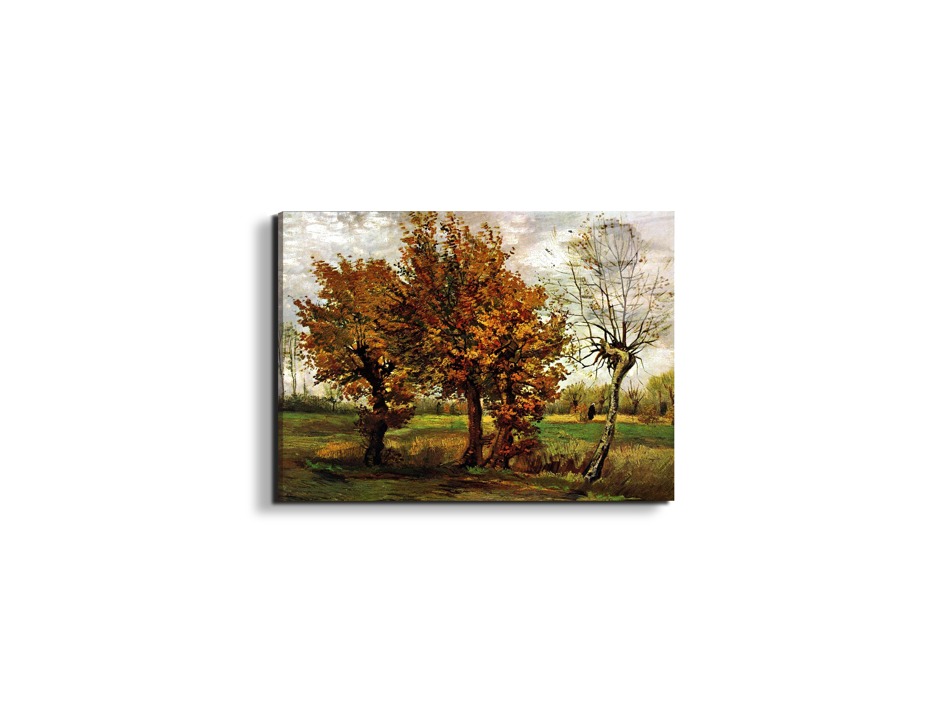 autumn-landscape-with-four-treesas90571-#materiale_EarthArt Total Gloss/dimensioni_50x37,50