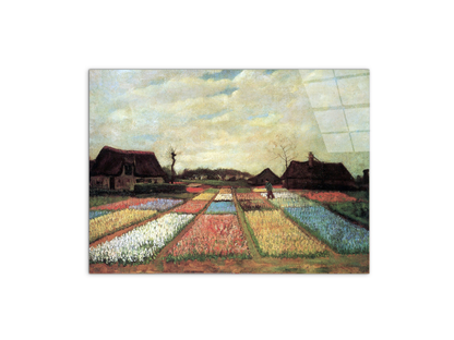 bulb-fieldsas90597-