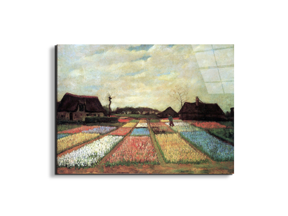bulb-fieldsas90597-