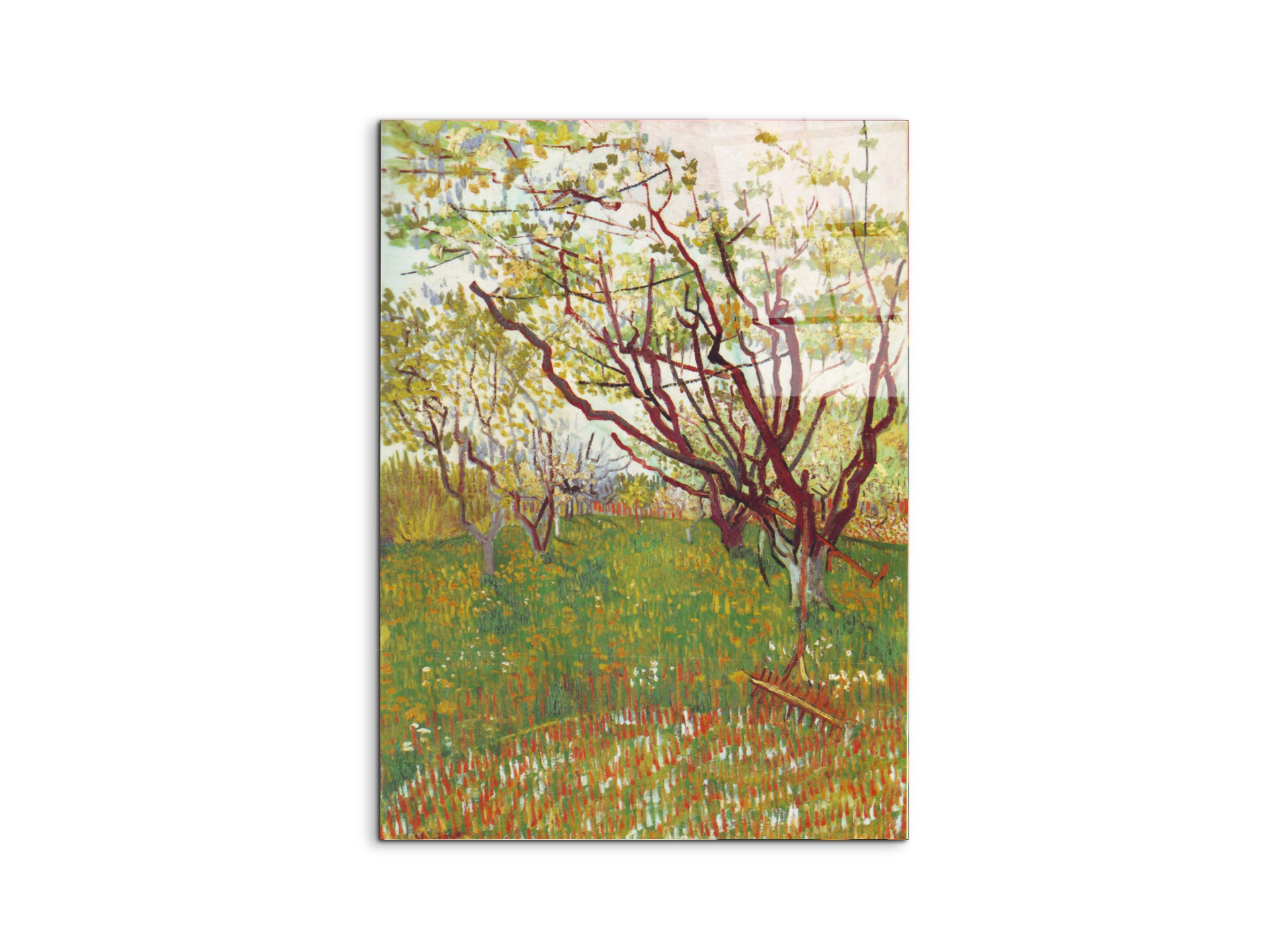 cherry-tree-by-van-goghas90605-#materiale_CrystalArt/dimensioni_57x76