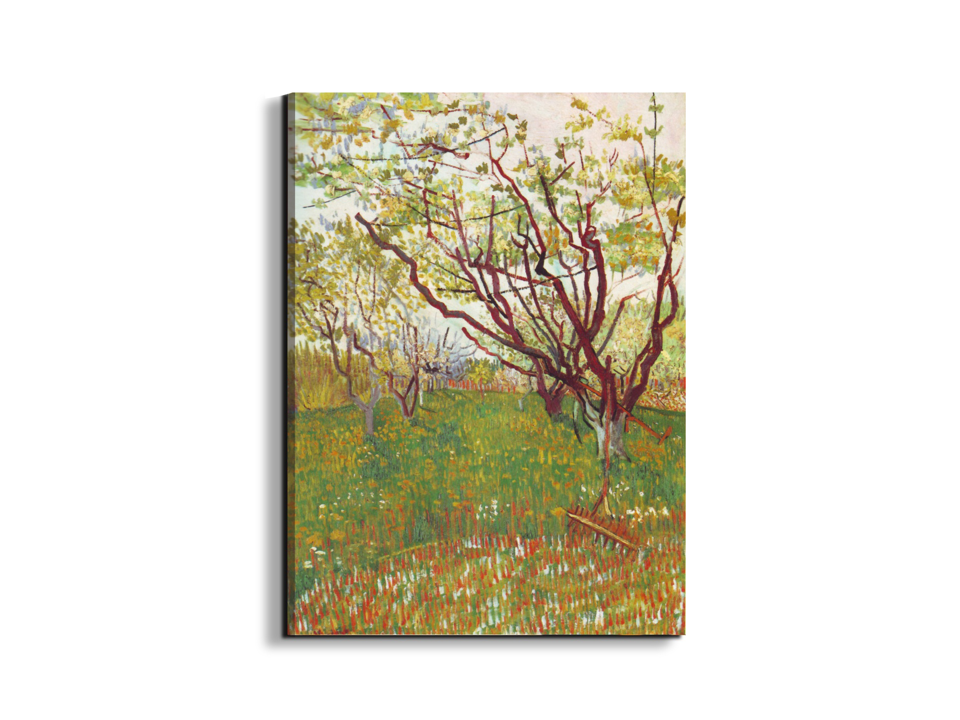 cherry-tree-by-van-goghas90605-#materiale_EarthArt/dimensioni_57x76