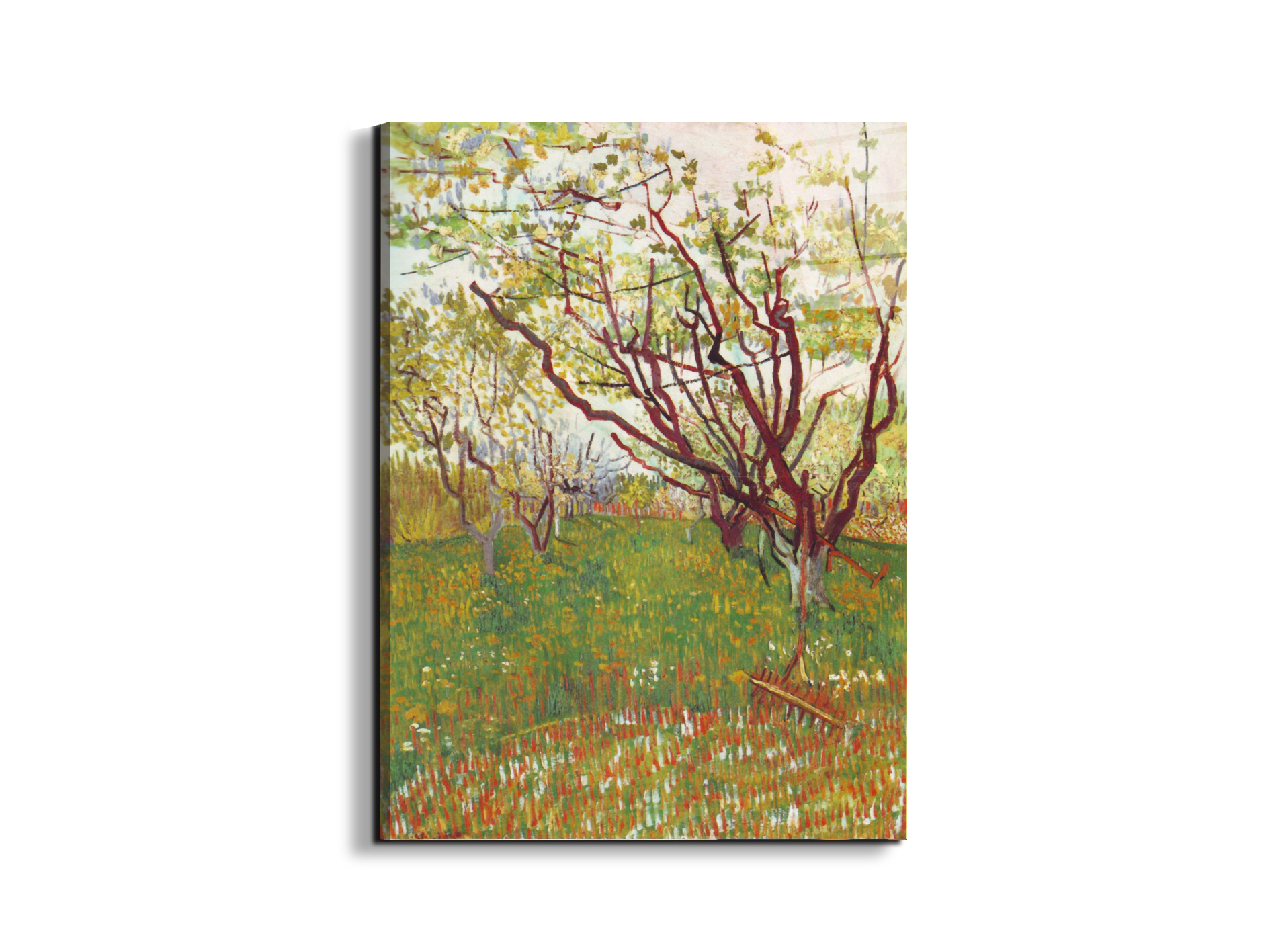 cherry-tree-by-van-goghas90605-