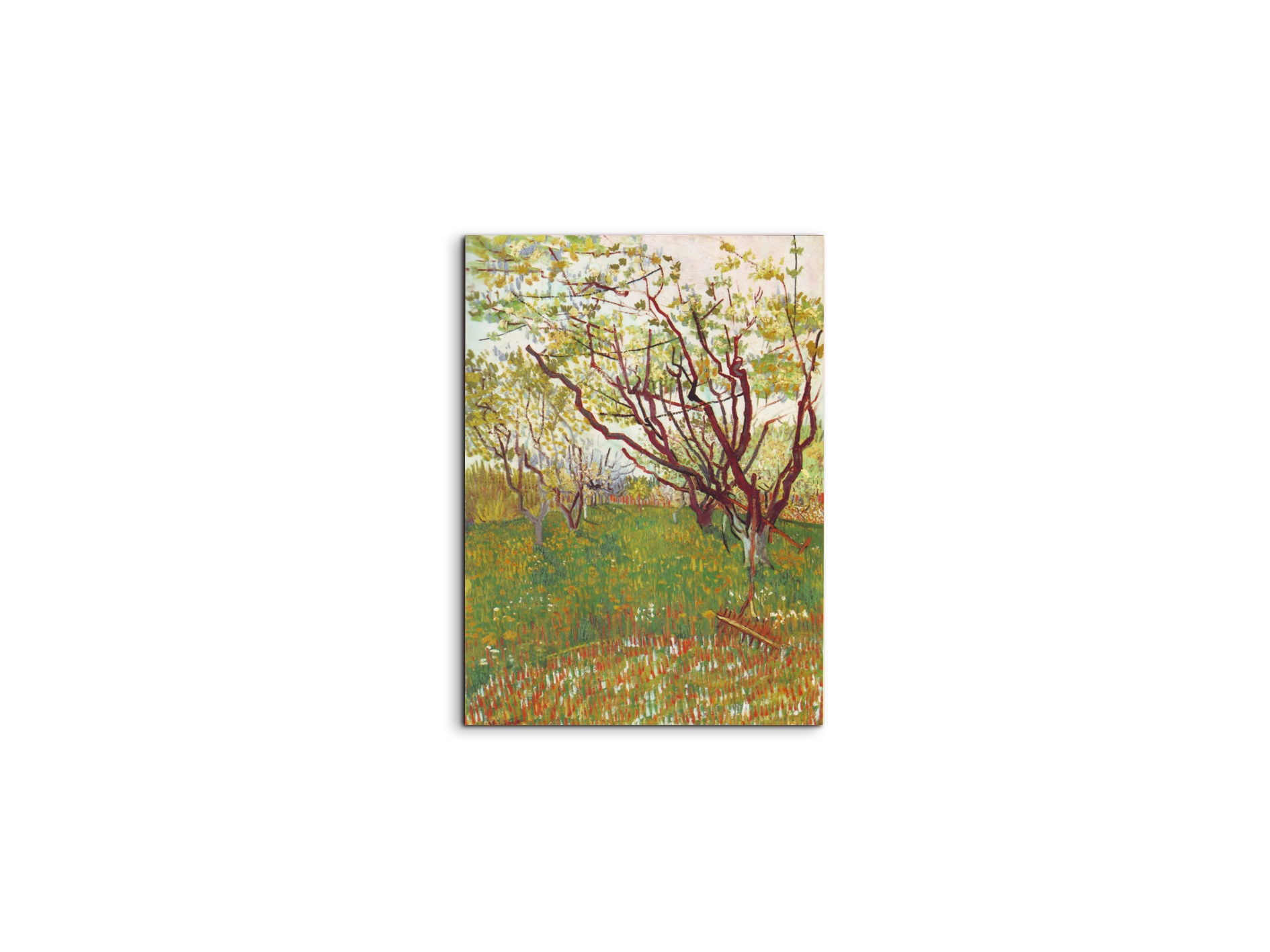 cherry-tree-by-van-goghas90605-