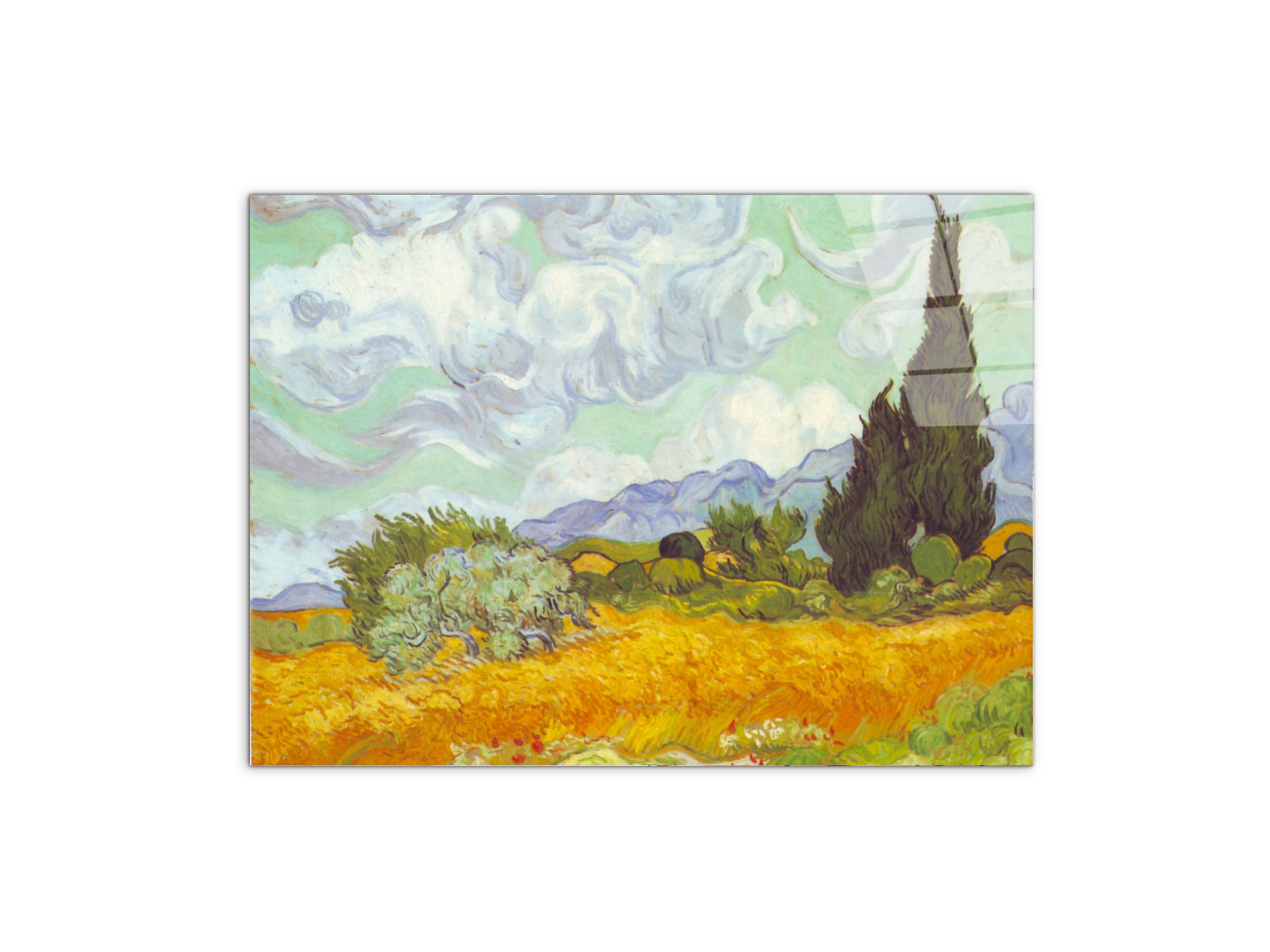 cornfield-with-cyprussesas90615-#materiale_CrystalArt/dimensioni_76x57