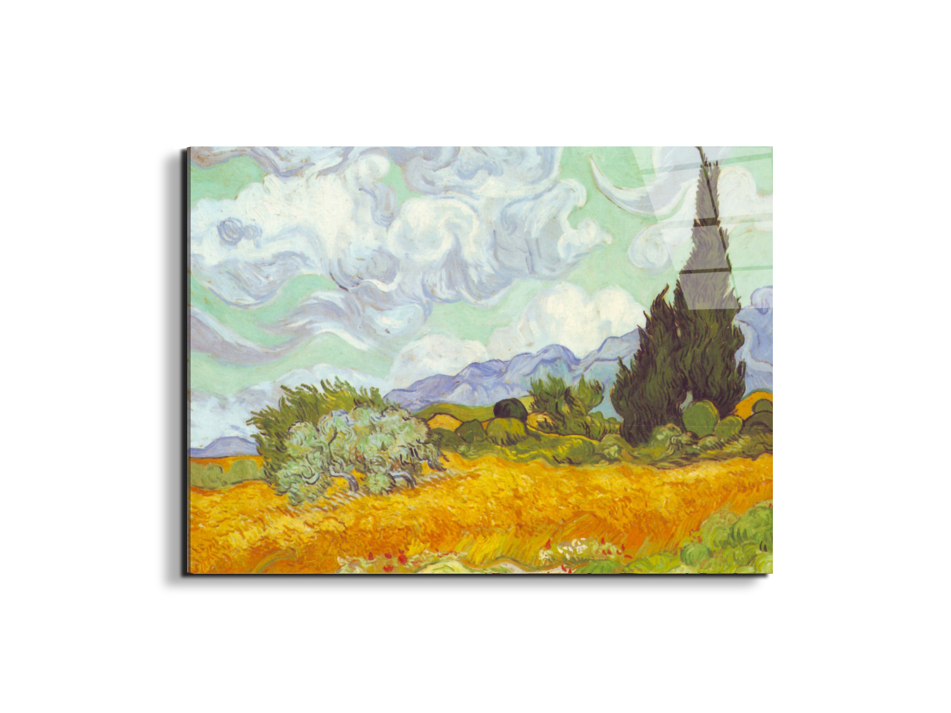 cornfield-with-cyprussesas90615-#materiale_EarthArt Total Gloss/dimensioni_76x57