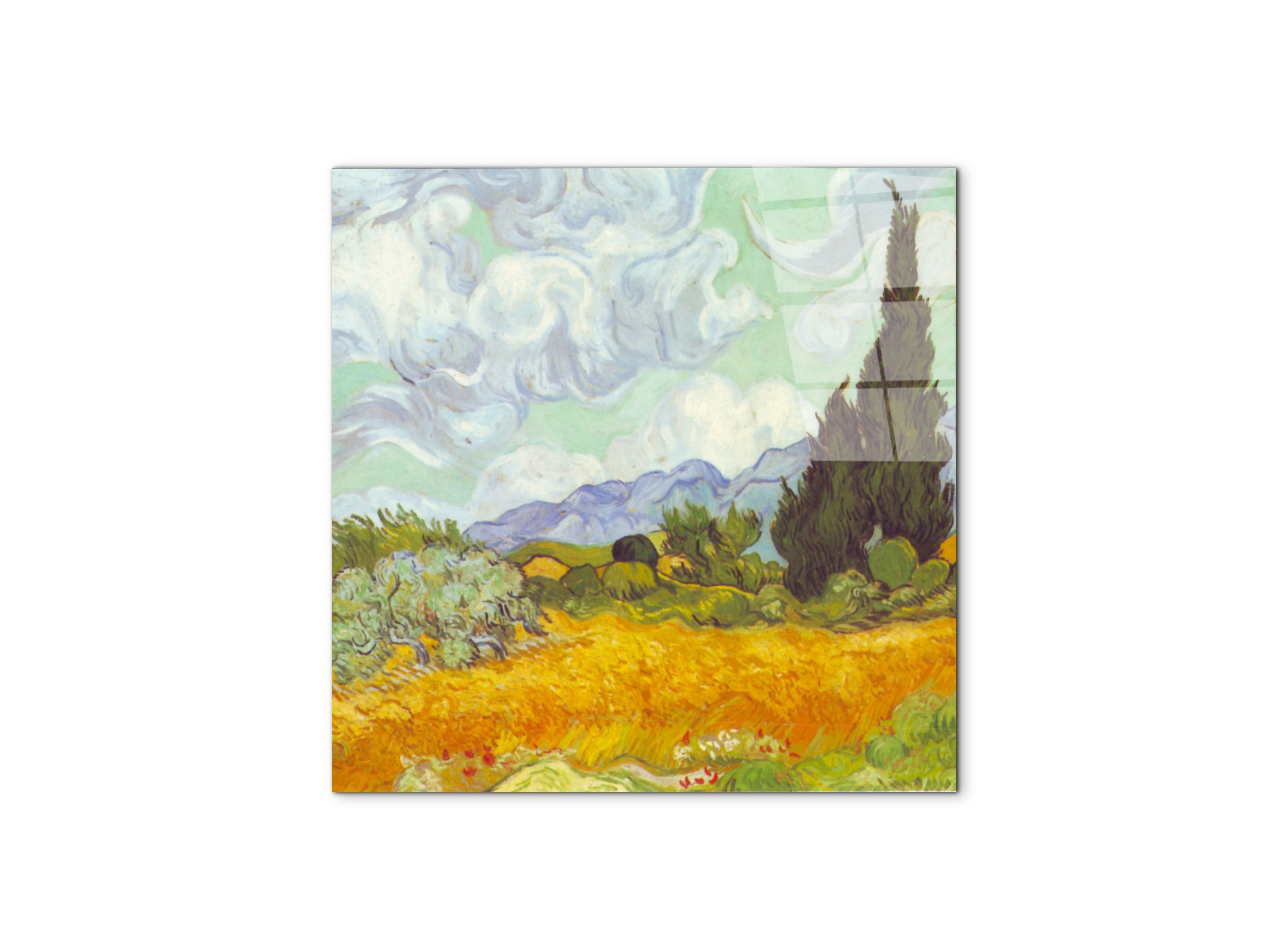 cornfield-with-cyprussesas90617-#materiale_CrystalArt/dimensioni_58x58