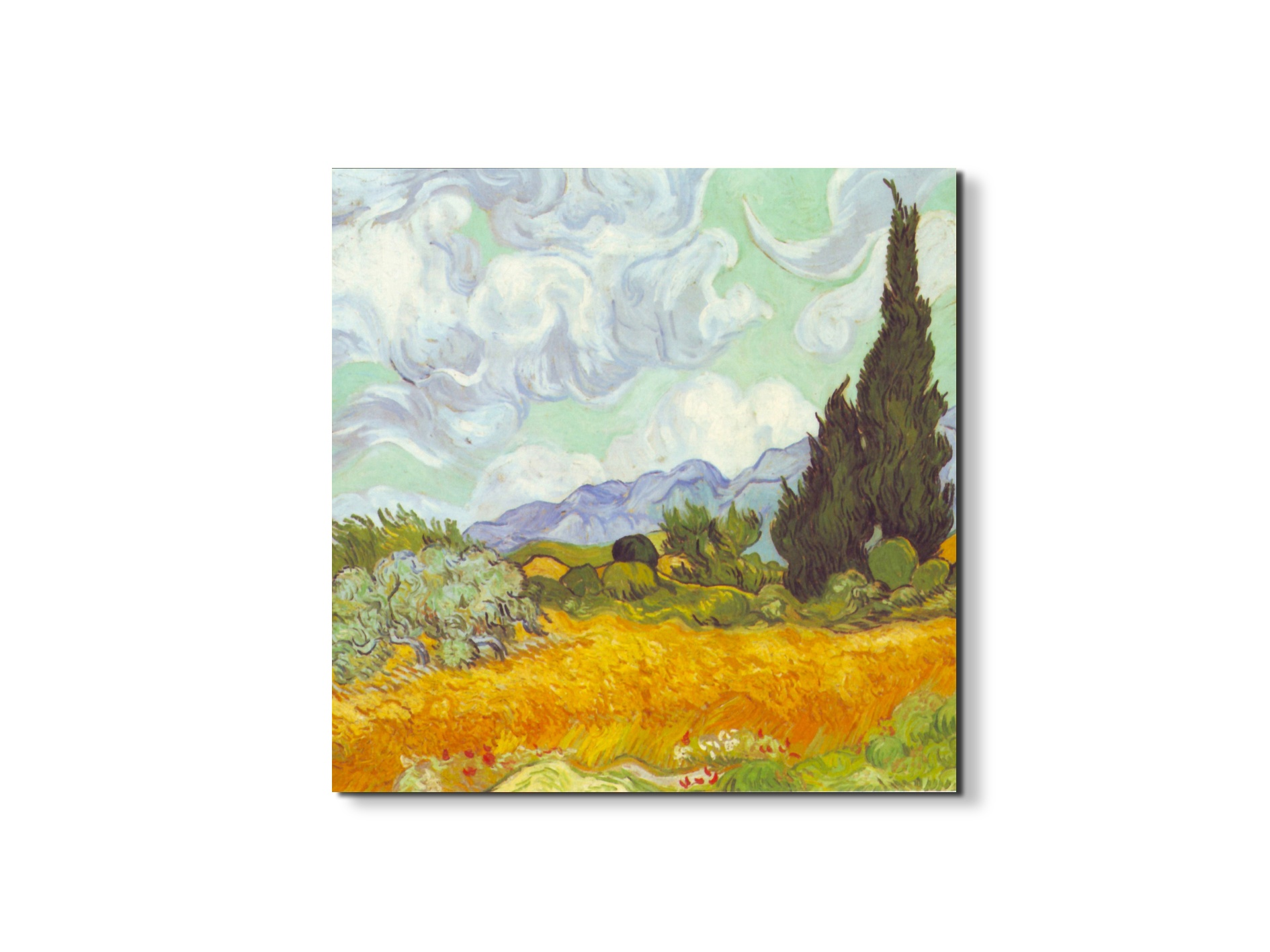 cornfield-with-cyprussesas90617-#materiale_EarthArt/dimensioni_58x58
