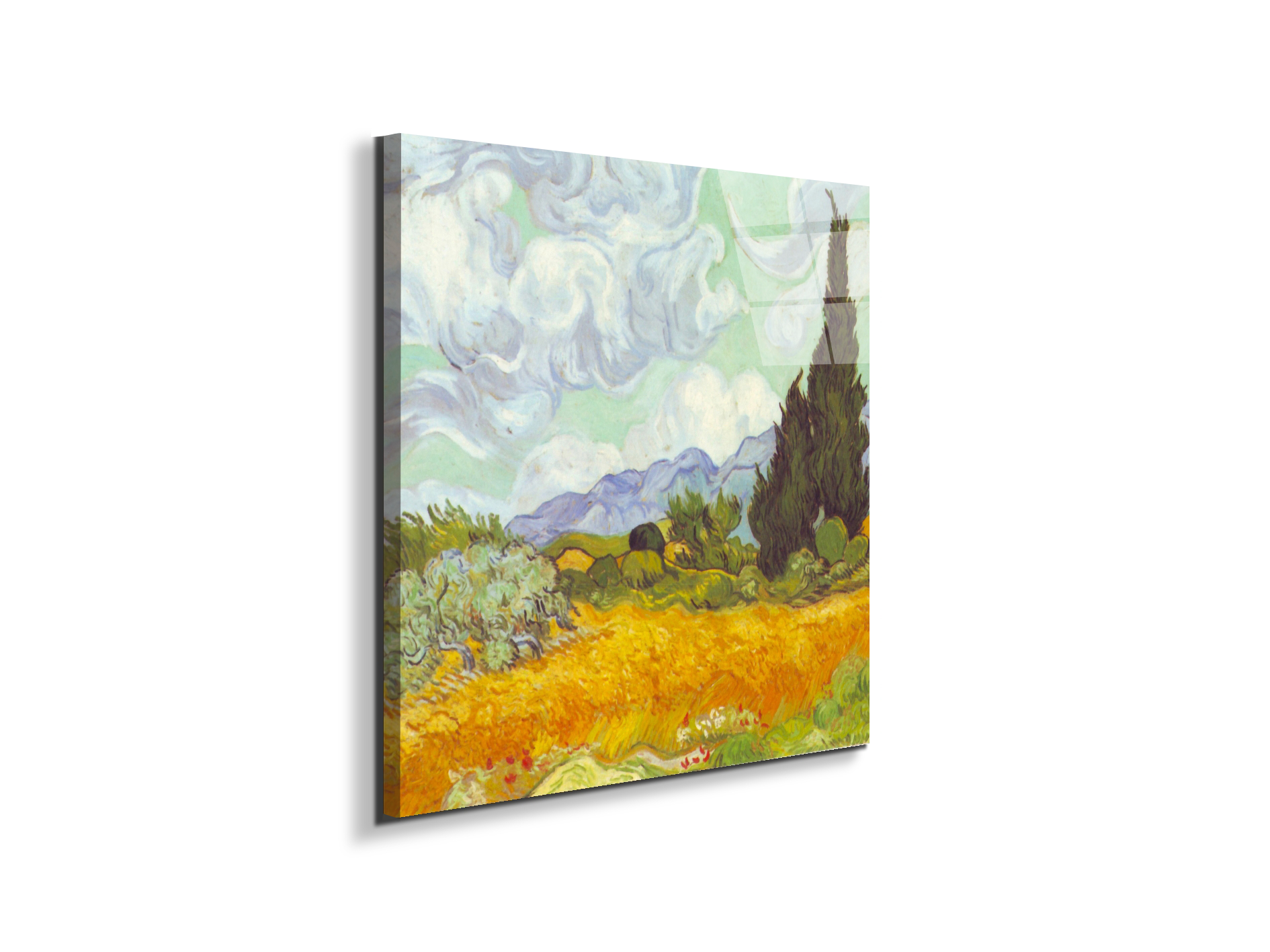 cornfield-with-cyprussesas90617-#materiale_EarthArt Total Gloss/dimensioni_58x58