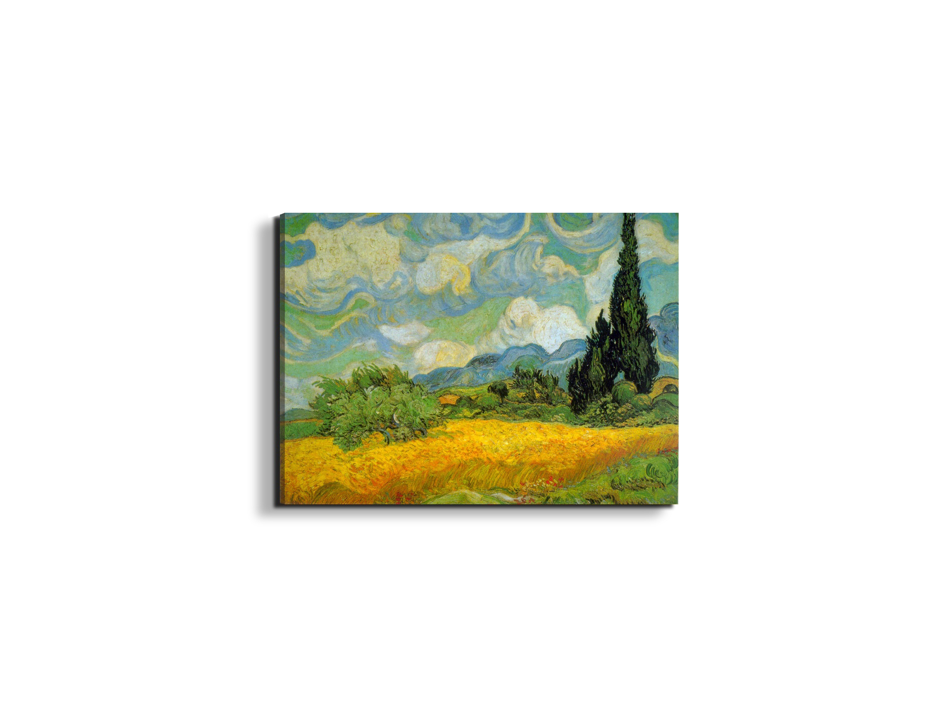 cypressesas90629-