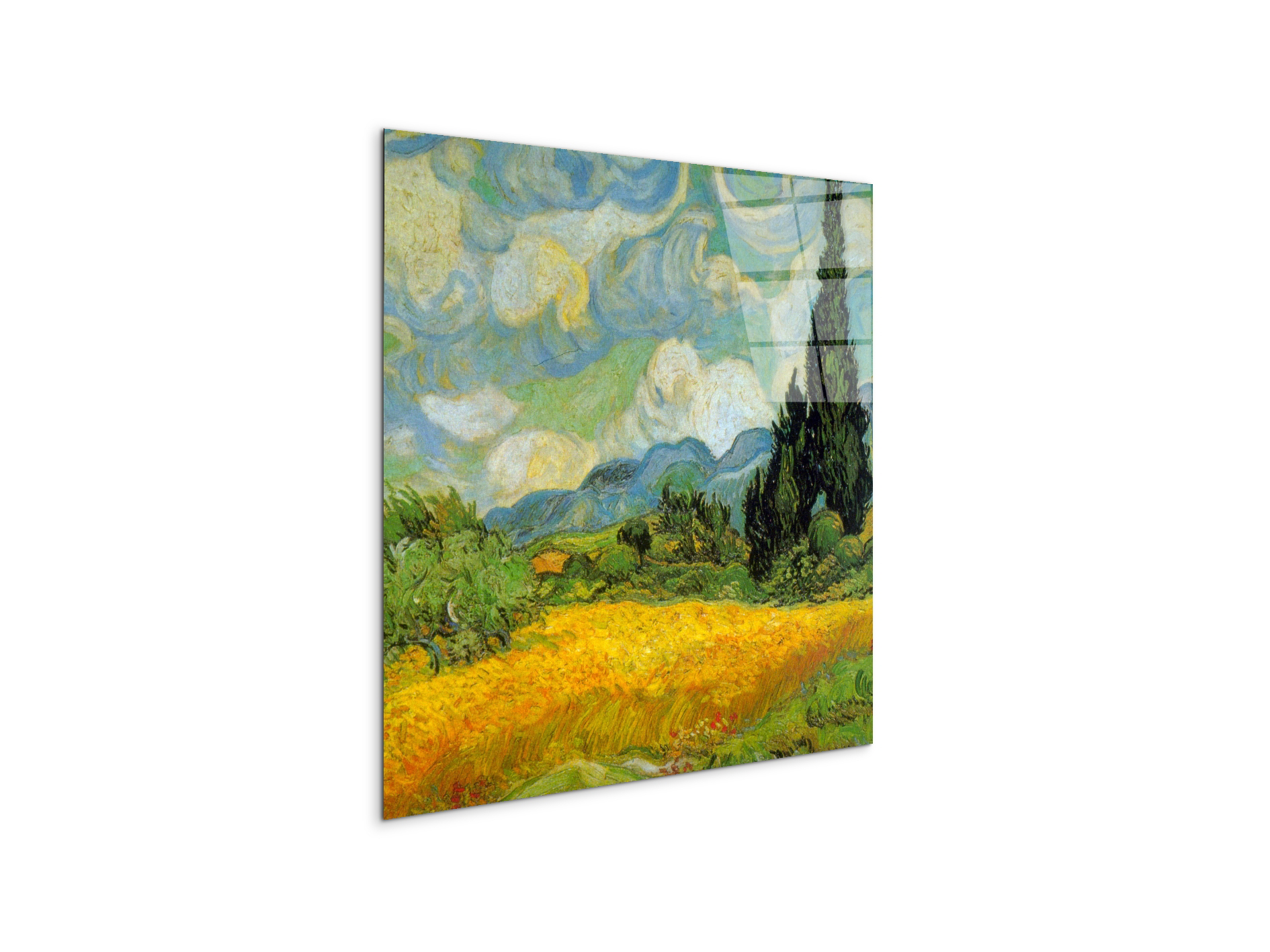 cypressesas90631-1-