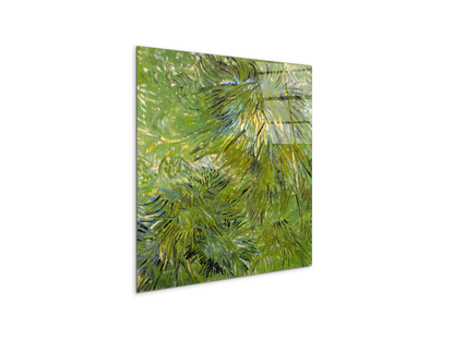 grassas90689-