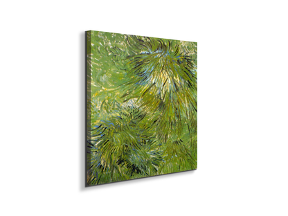 grassas90689-