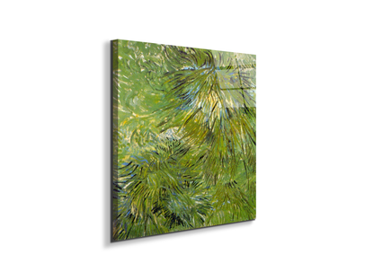 grassas90689-