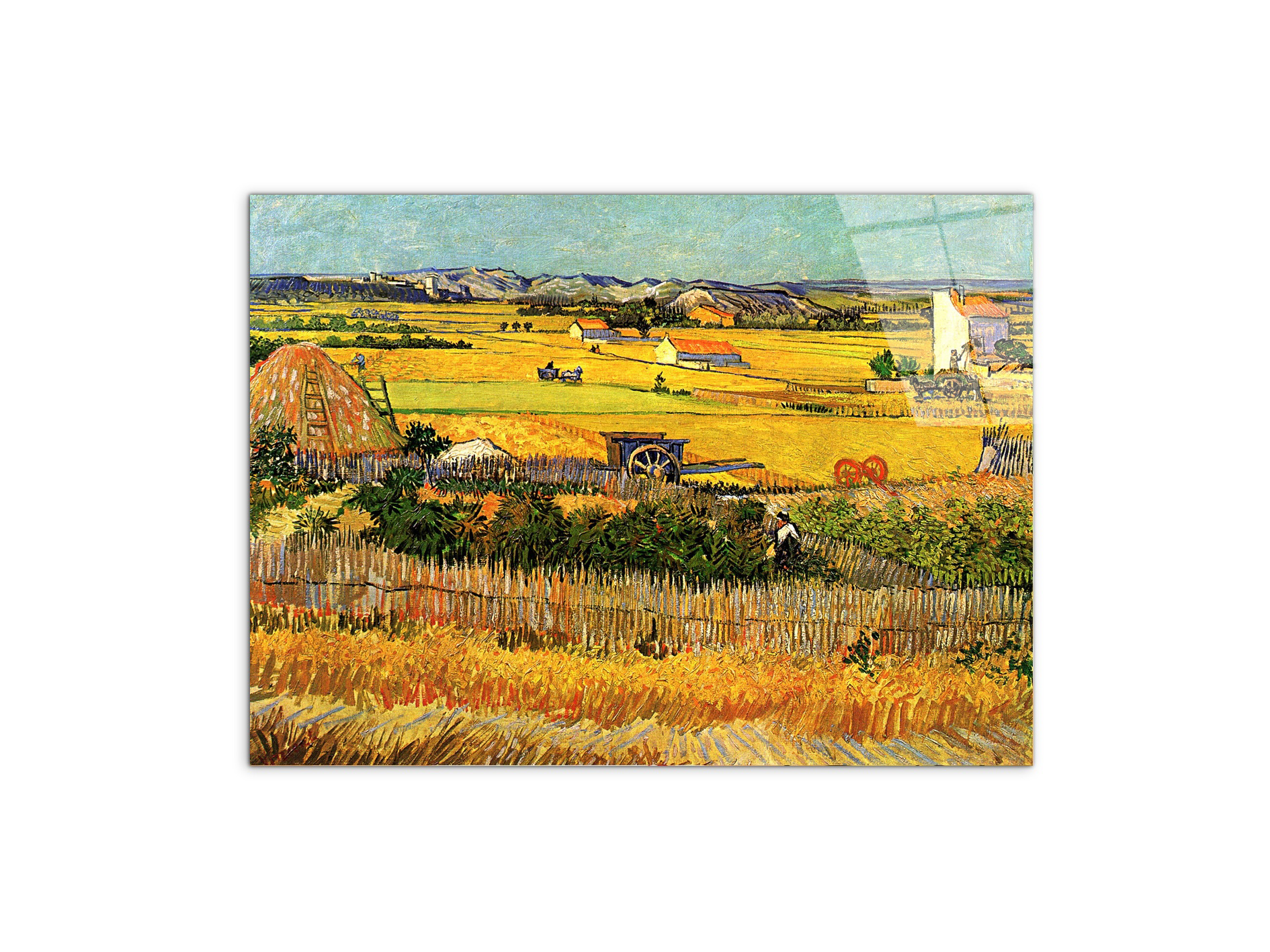 harvest-at-la-crau-with-montmajour-in-the-backgroundas90693-#materiale_CrystalArt/dimensioni_76x57