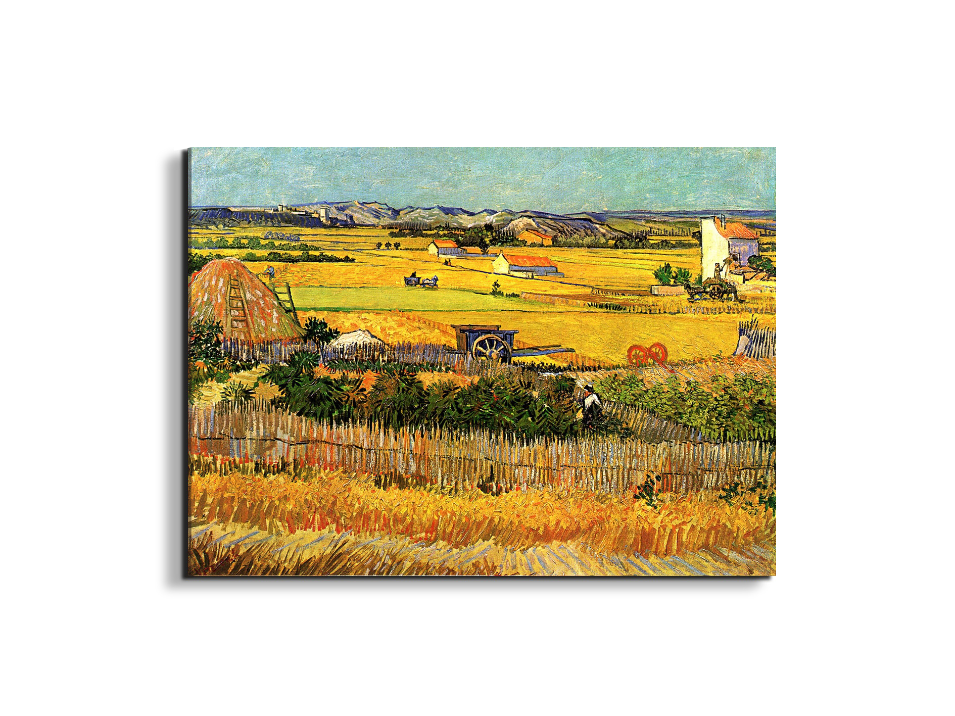harvest-at-la-crau-with-montmajour-in-the-backgroundas90693-#materiale_EarthArt/dimensioni_76x57