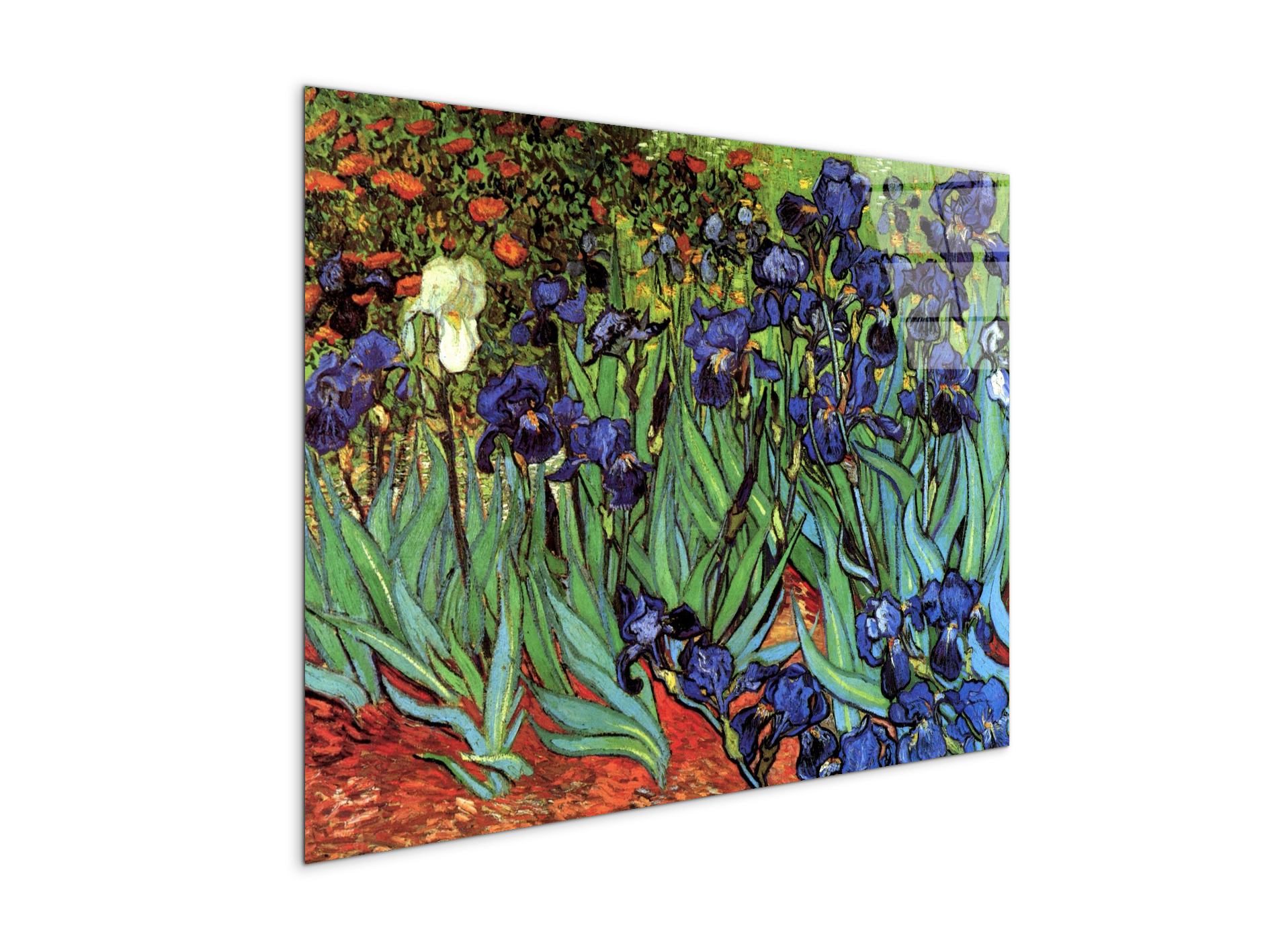 irisesas90705-#materiale_CrystalArt/dimensioni_76x57