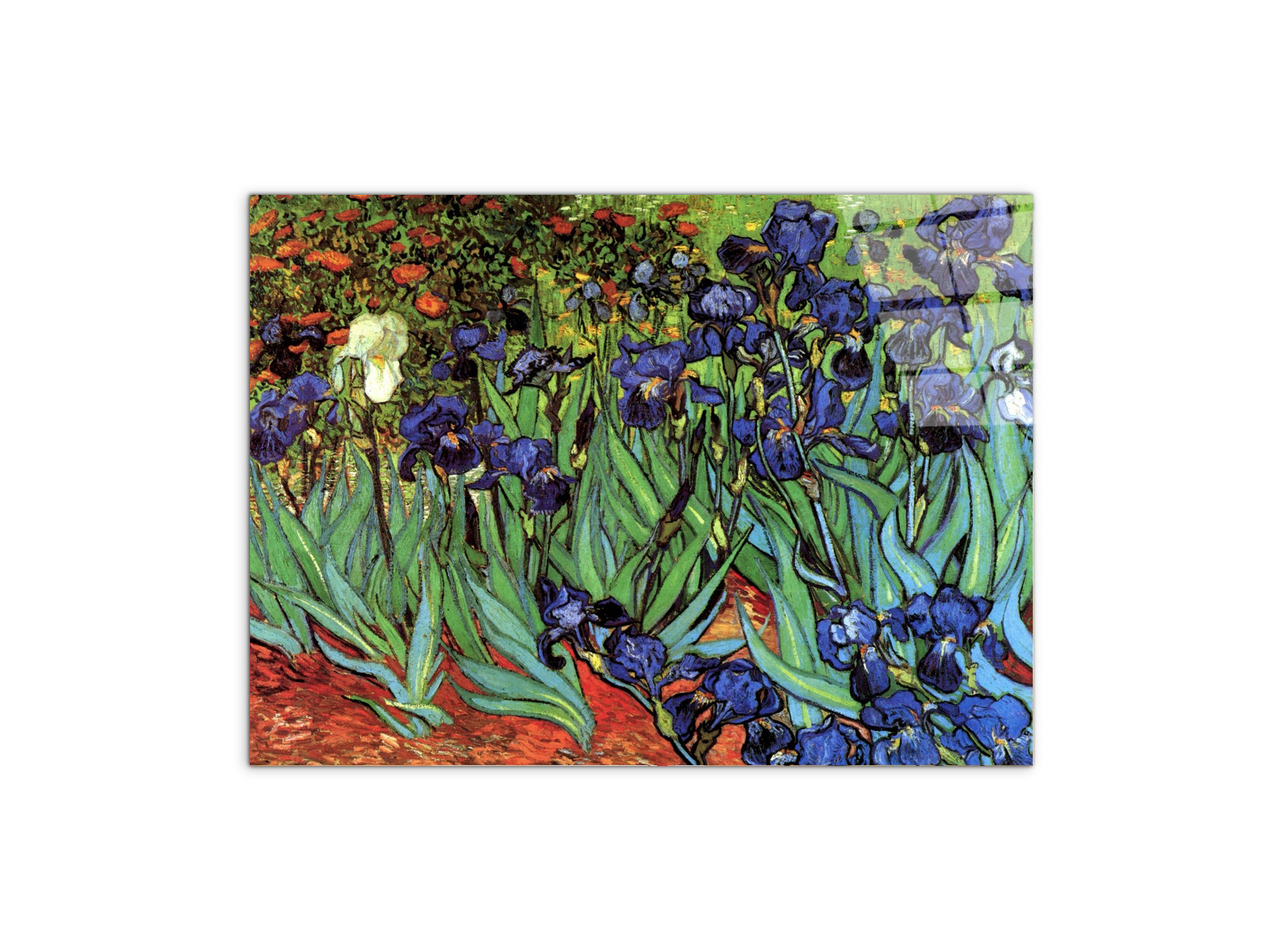 irisesas90705-#materiale_CrystalArt/dimensioni_76x57
