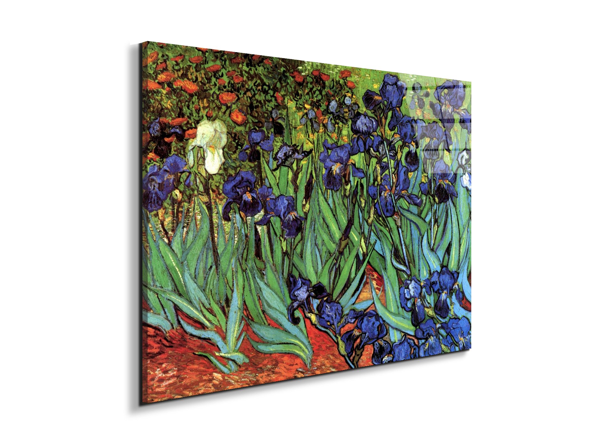 irisesas90705-#materiale_EarthArt Total Gloss/dimensioni_76x57