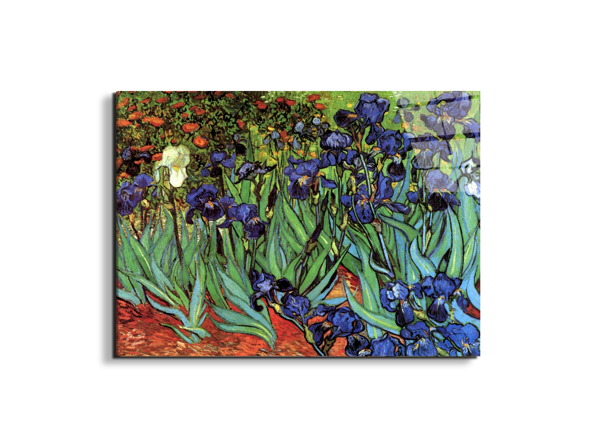 irisesas90705-#materiale_EarthArt Total Gloss/dimensioni_76x57
