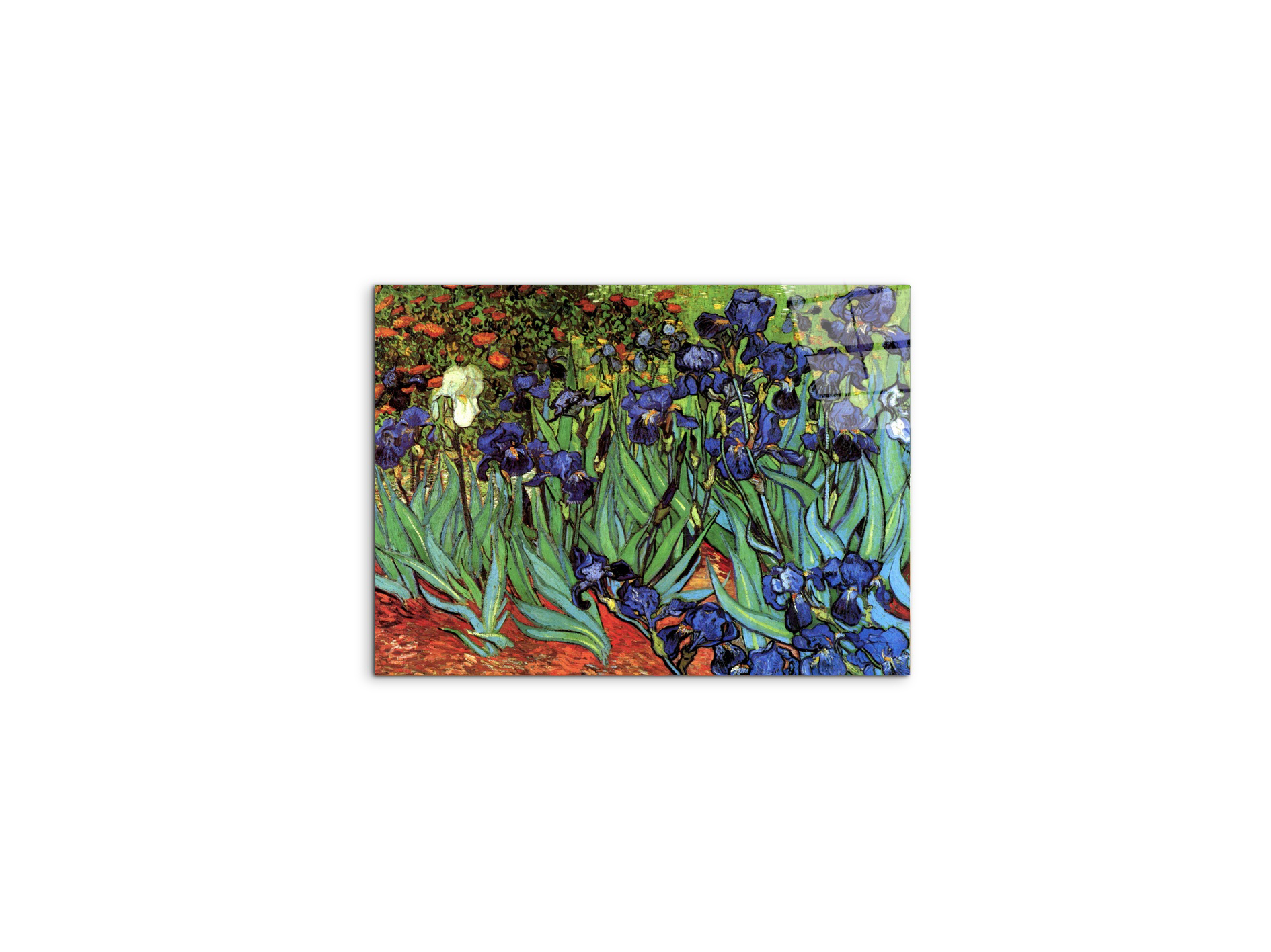 irisesas90705-#materiale_CrystalArt/dimensioni_50x37,50