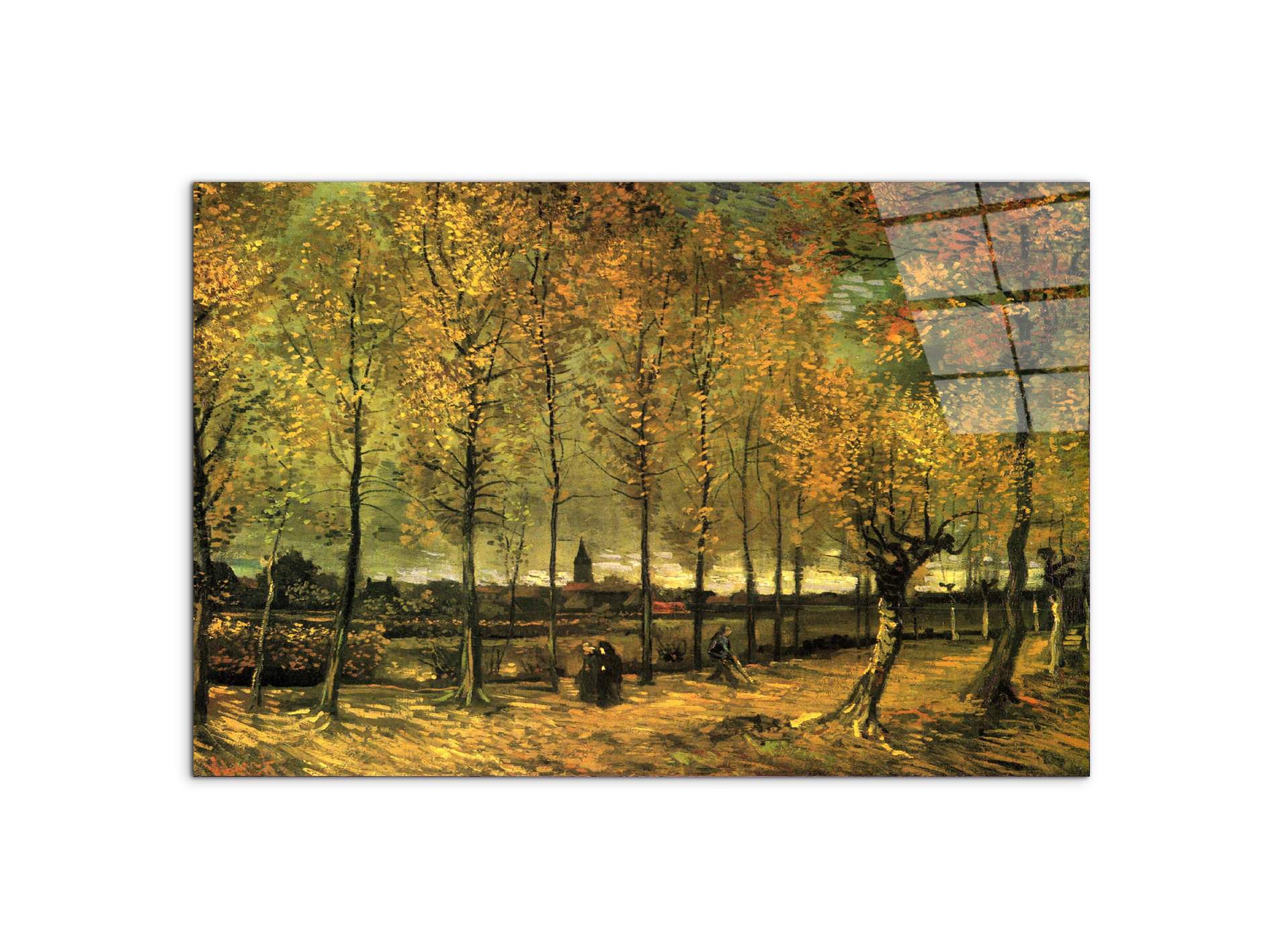 lane-with-poplarsas90713-#materiale_CrystalArt/dimensioni_79,5x53