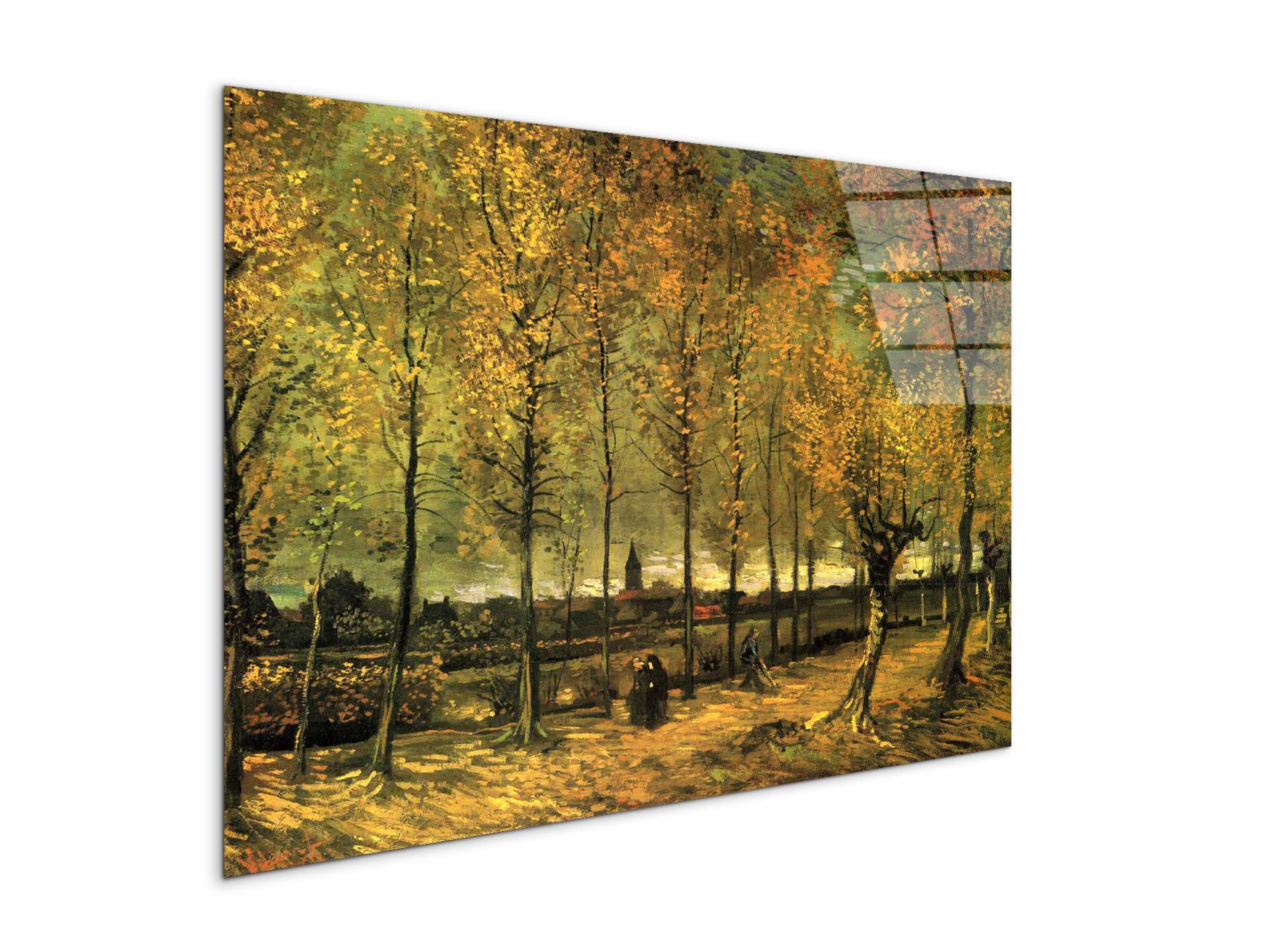 lane-with-poplarsas90713-