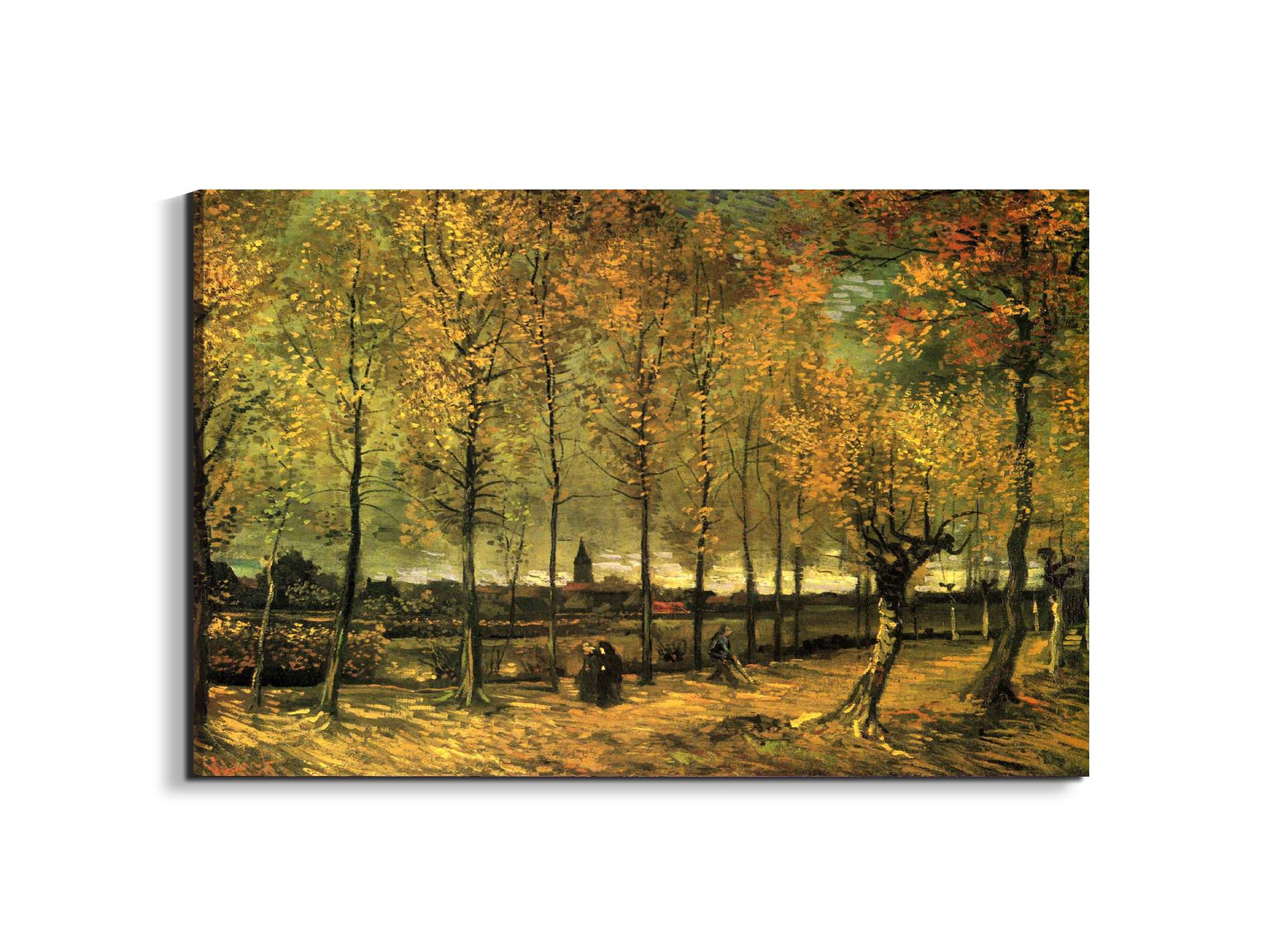 lane-with-poplarsas90713-#materiale_EarthArt/dimensioni_79,5x53