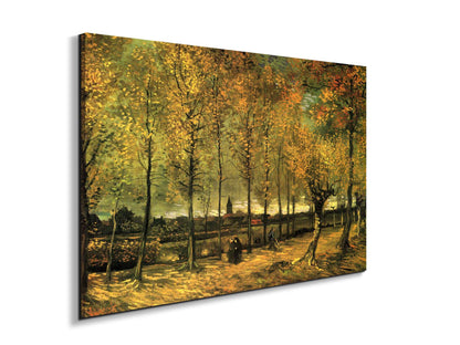 lane-with-poplarsas90713-