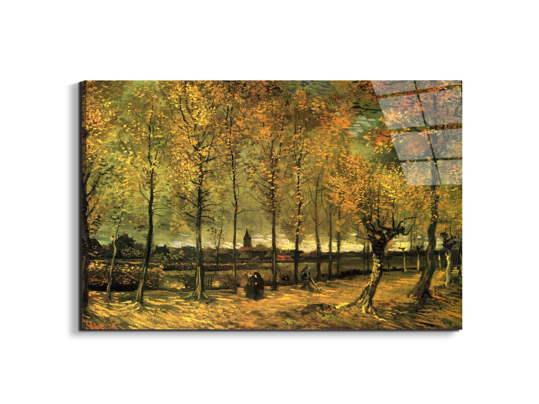 lane-with-poplarsas90713-