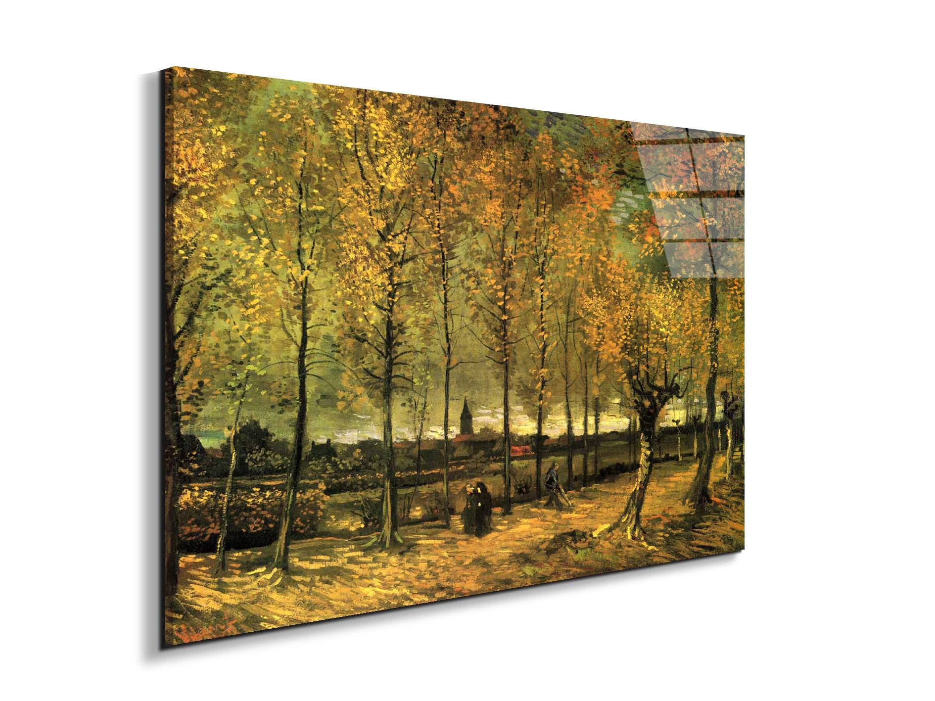 lane-with-poplarsas90713-