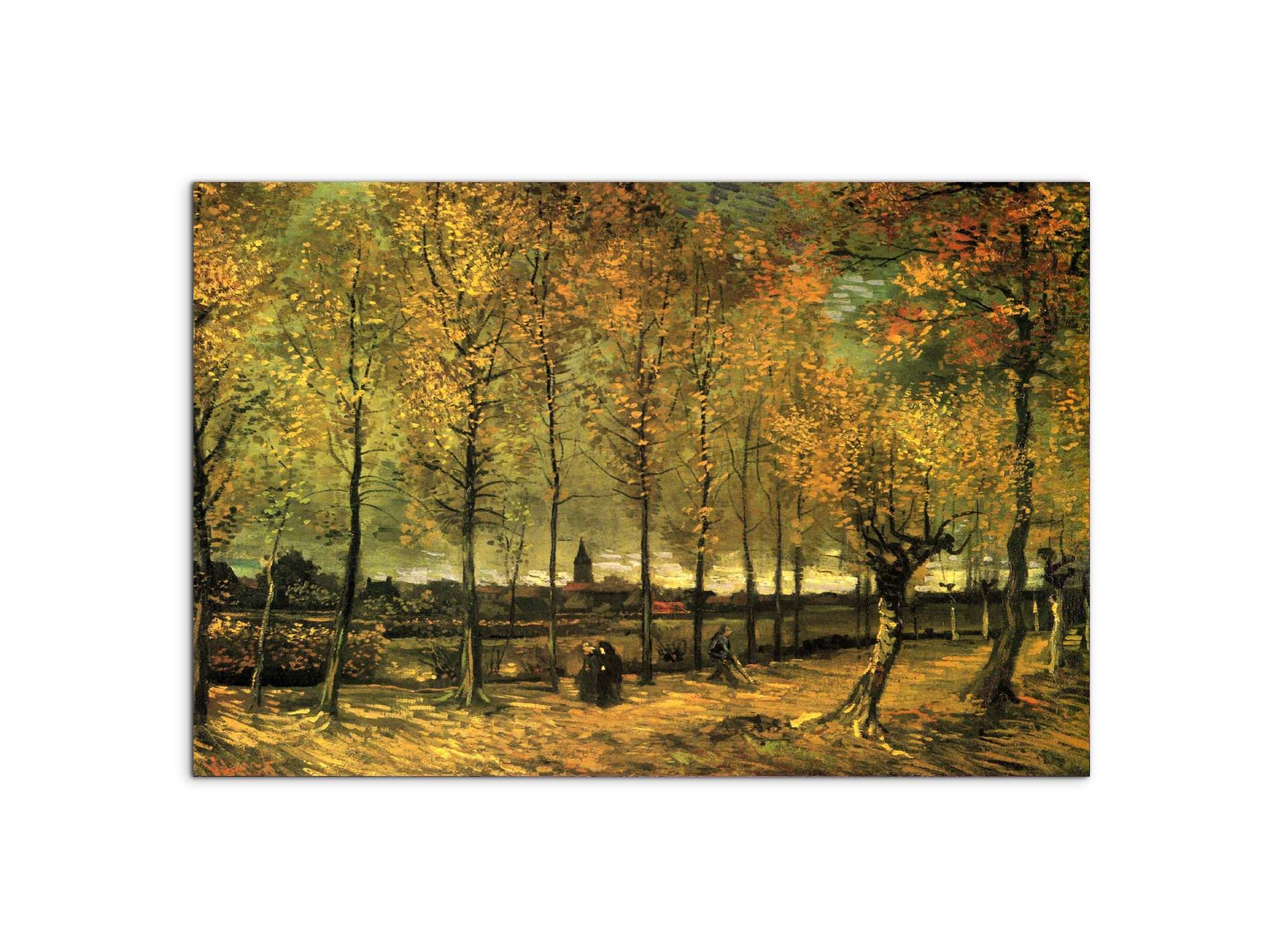 lane-with-poplarsas90713-