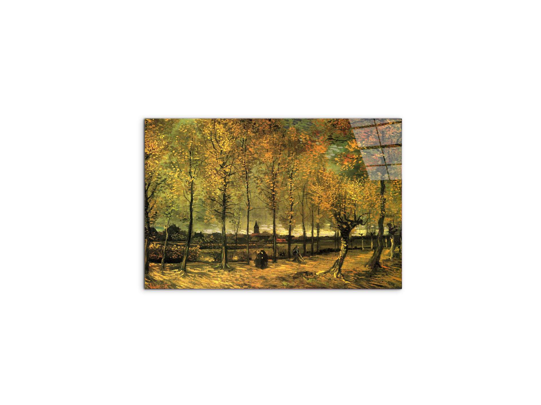 lane-with-poplarsas90713-
