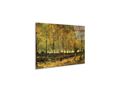 lane-with-poplarsas90713-