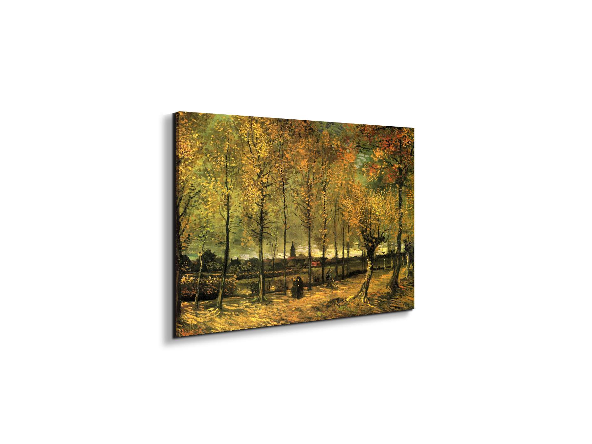 lane-with-poplarsas90713-