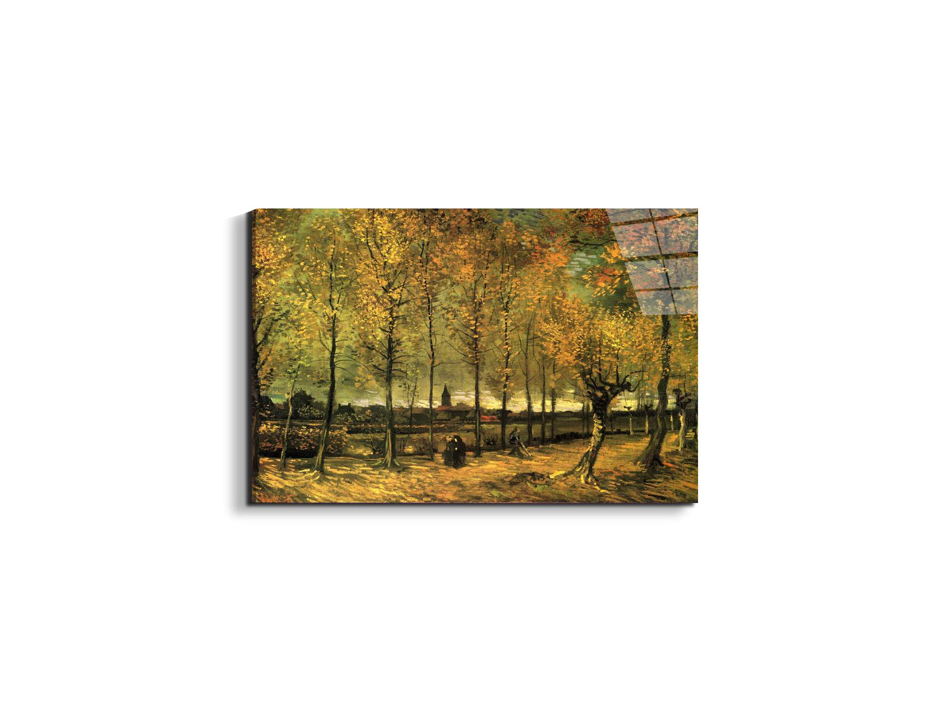 lane-with-poplarsas90713-