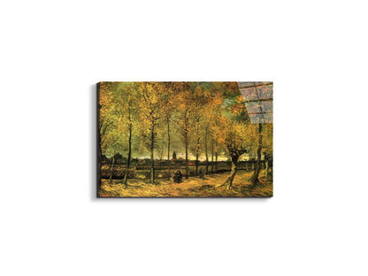 lane-with-poplarsas90713-