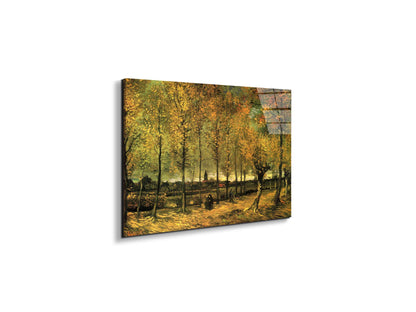 lane-with-poplarsas90713-