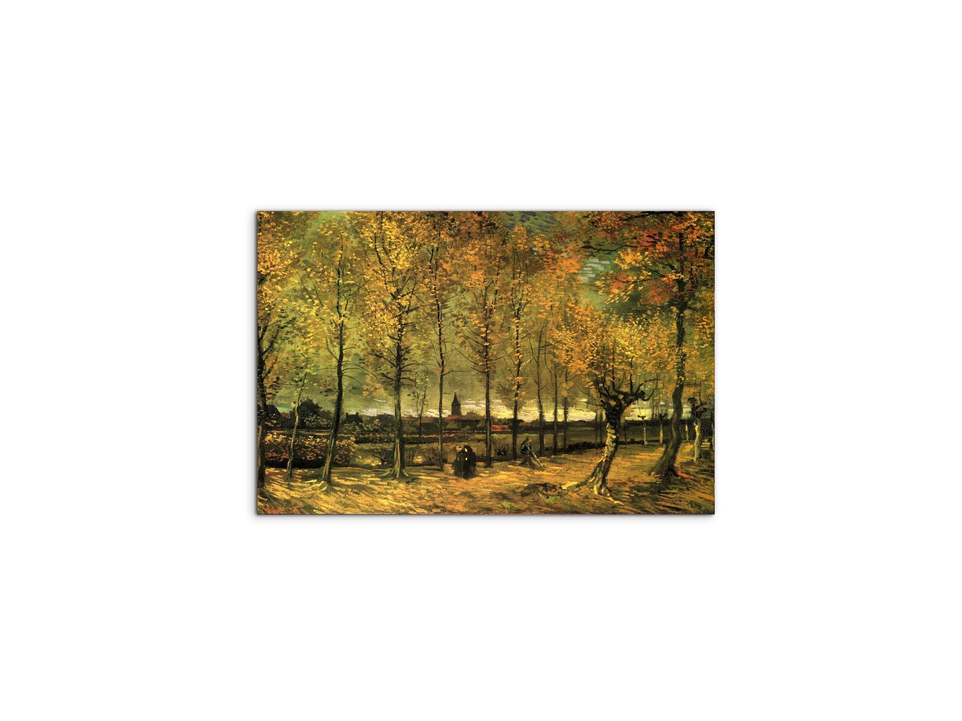 lane-with-poplarsas90713-