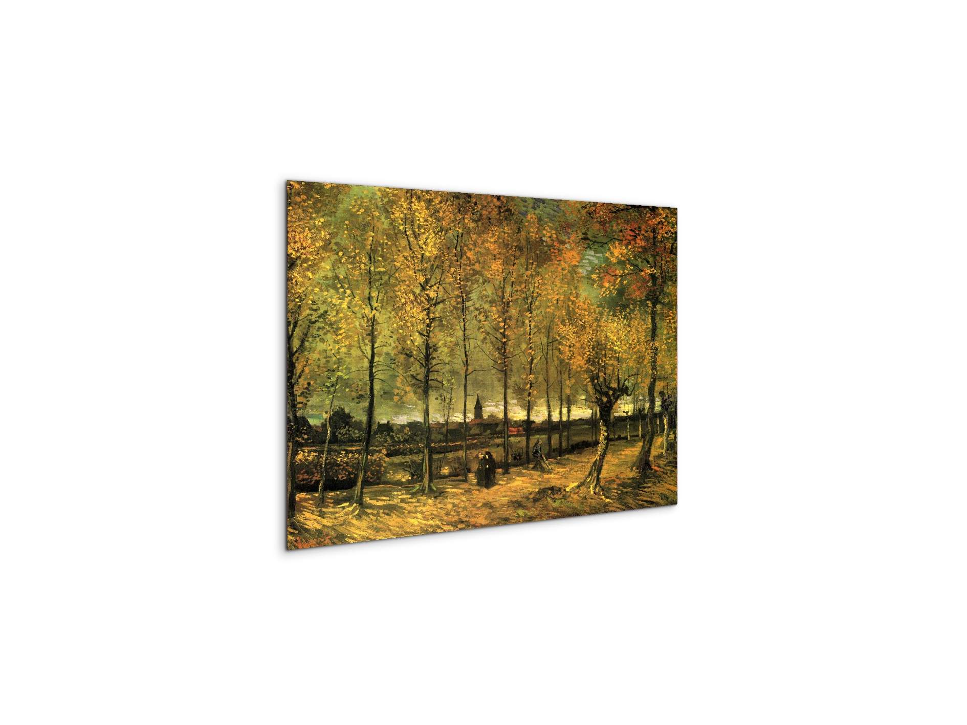 lane-with-poplarsas90713-