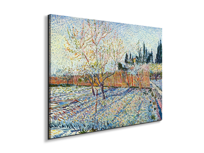 orchard-with-cypressas90755-