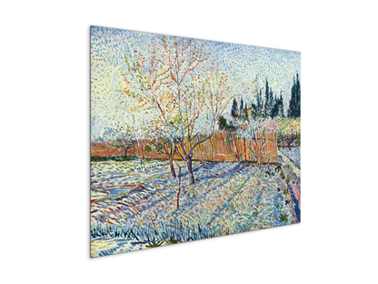 orchard-with-cypressas90755-