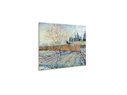 orchard-with-cypressas90755-
