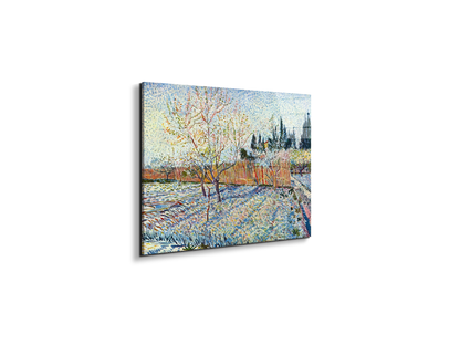 orchard-with-cypressas90755-
