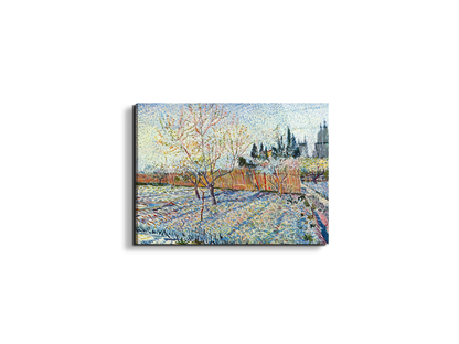 orchard-with-cypressas90755-