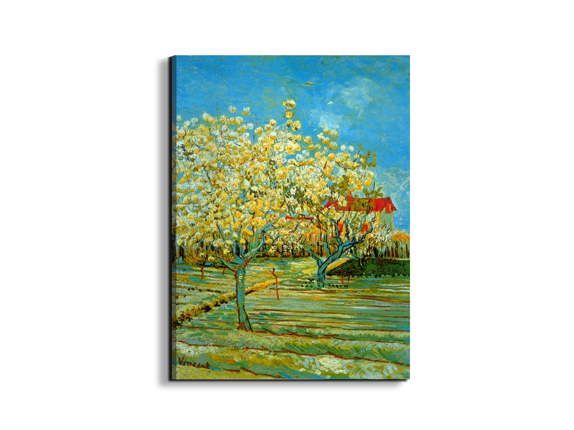 orchardas90757-#materiale_EarthArt/dimensioni_57x76
