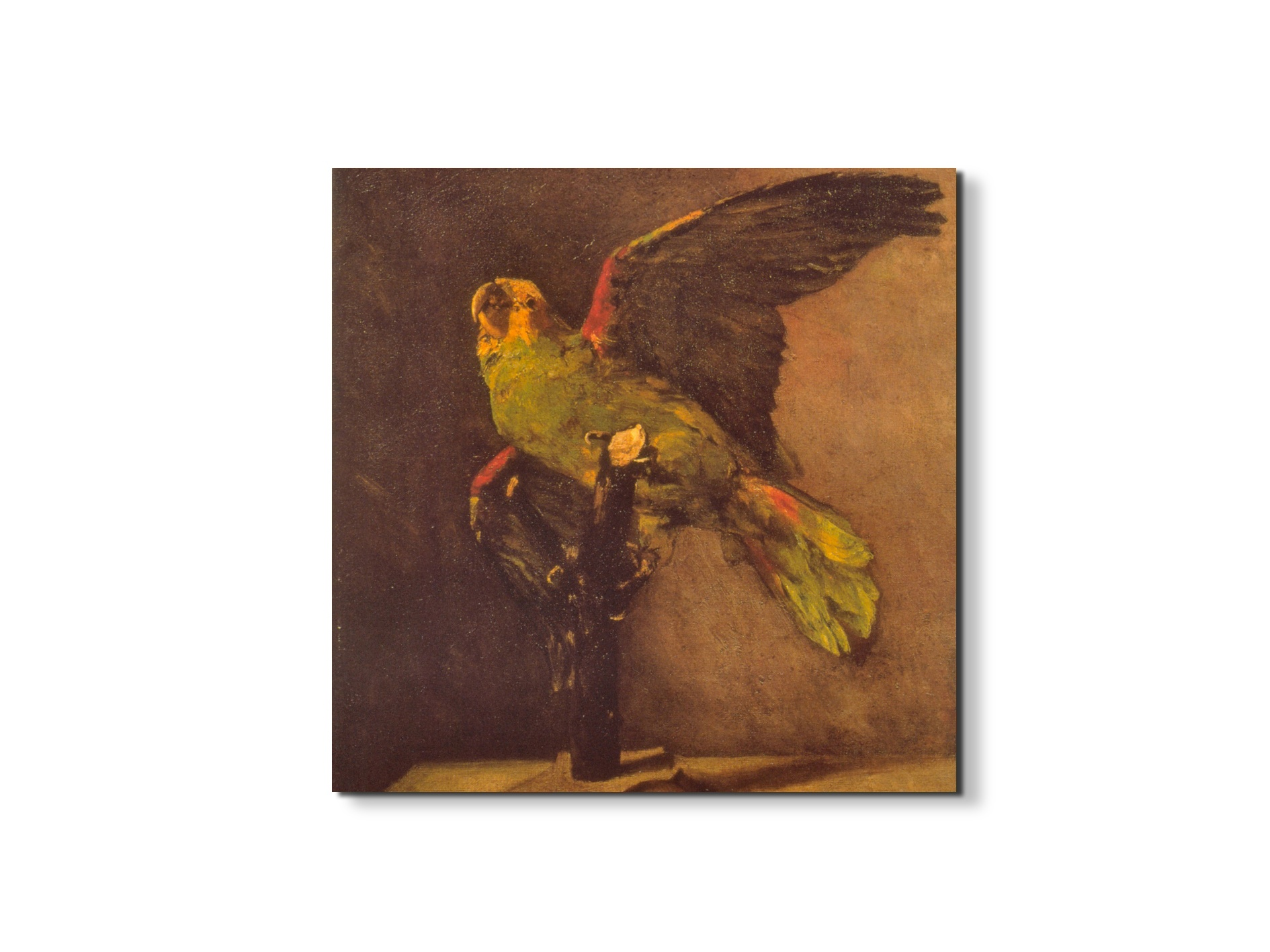 parrotas90769-1-#materiale_EarthArt/dimensioni_58x58
