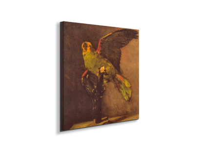 parrotas90769-1-